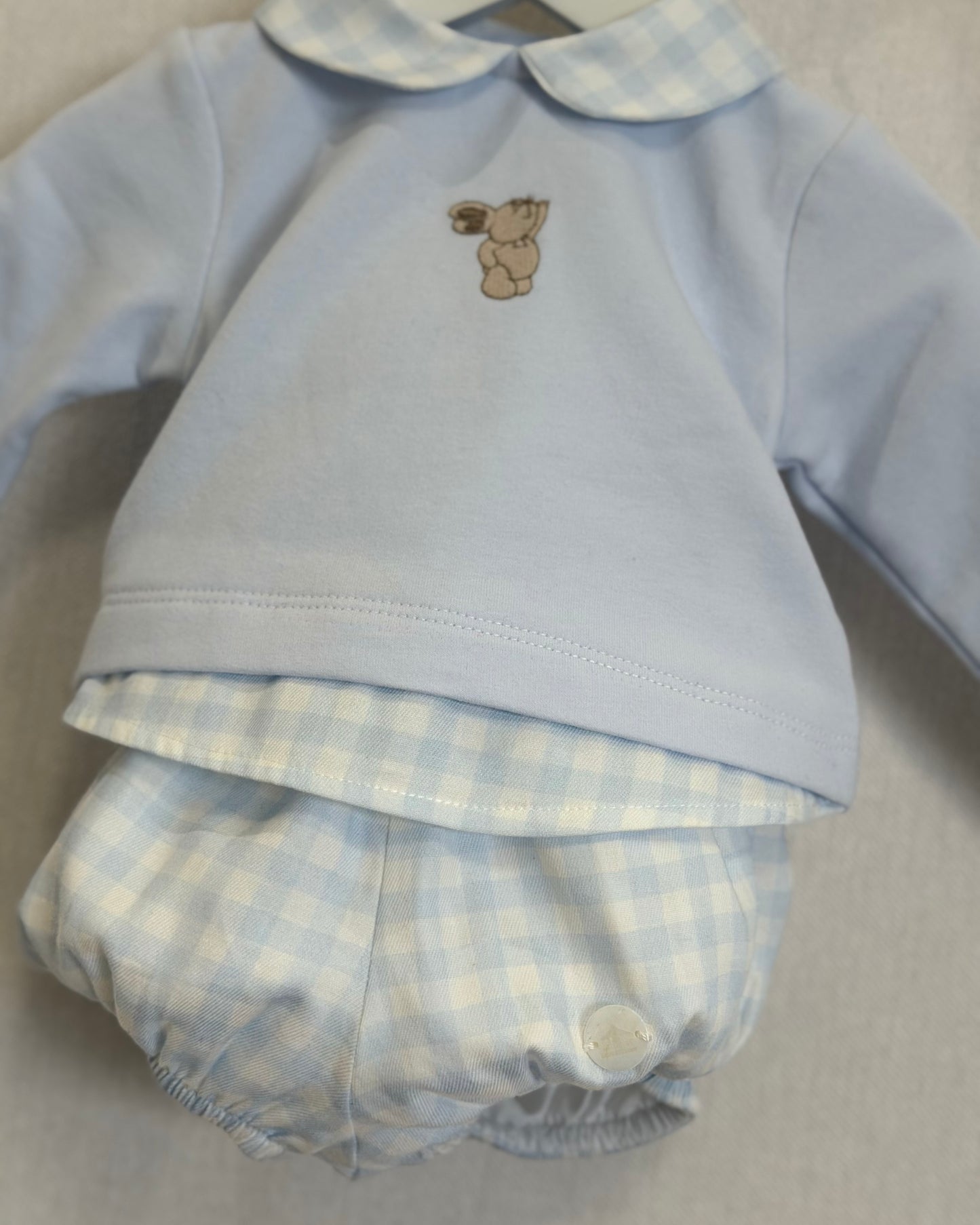 Conjunto Oso Celeste