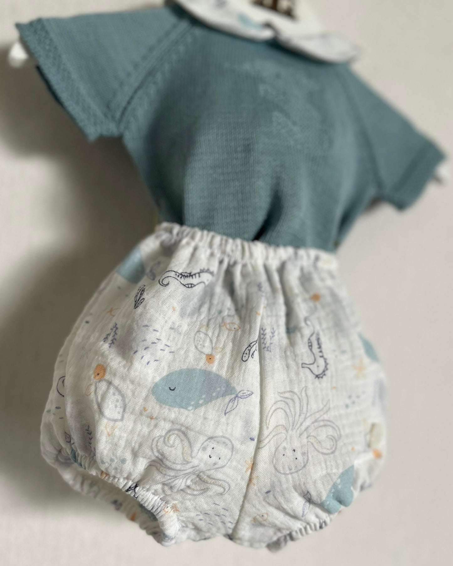Conjunto Gerardo